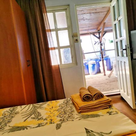 Hotel Casa Ioana Costineşti Exteriér fotografie
