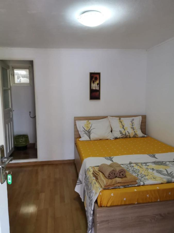Hotel Casa Ioana Costineşti Exteriér fotografie